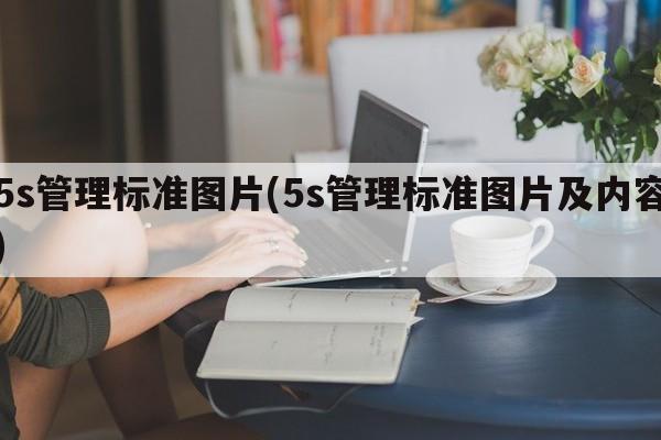 5s管理标准图片(5s管理标准图片及内容)